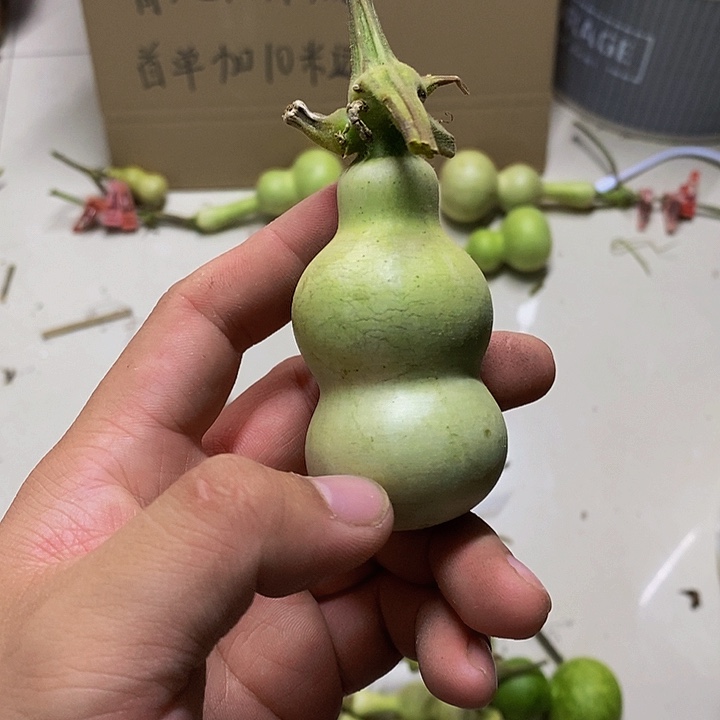 李*逸长嘴哈哈哈哈哈哈哈恍恍惚惚的