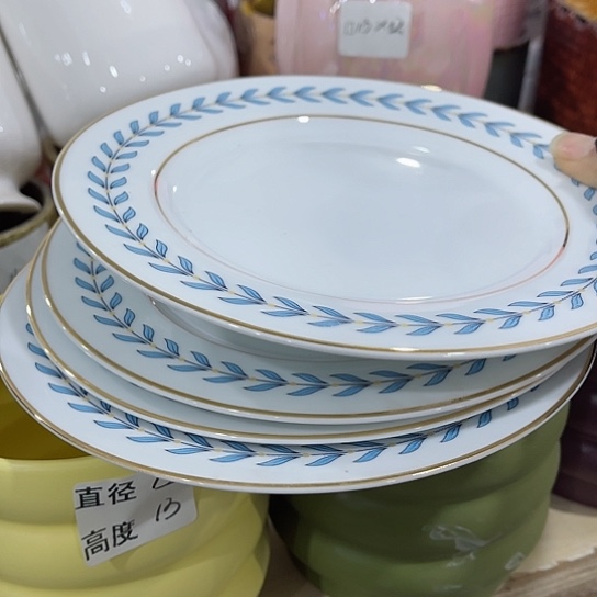 多年绿植陶瓷花盆9.9包邮，无孔4个