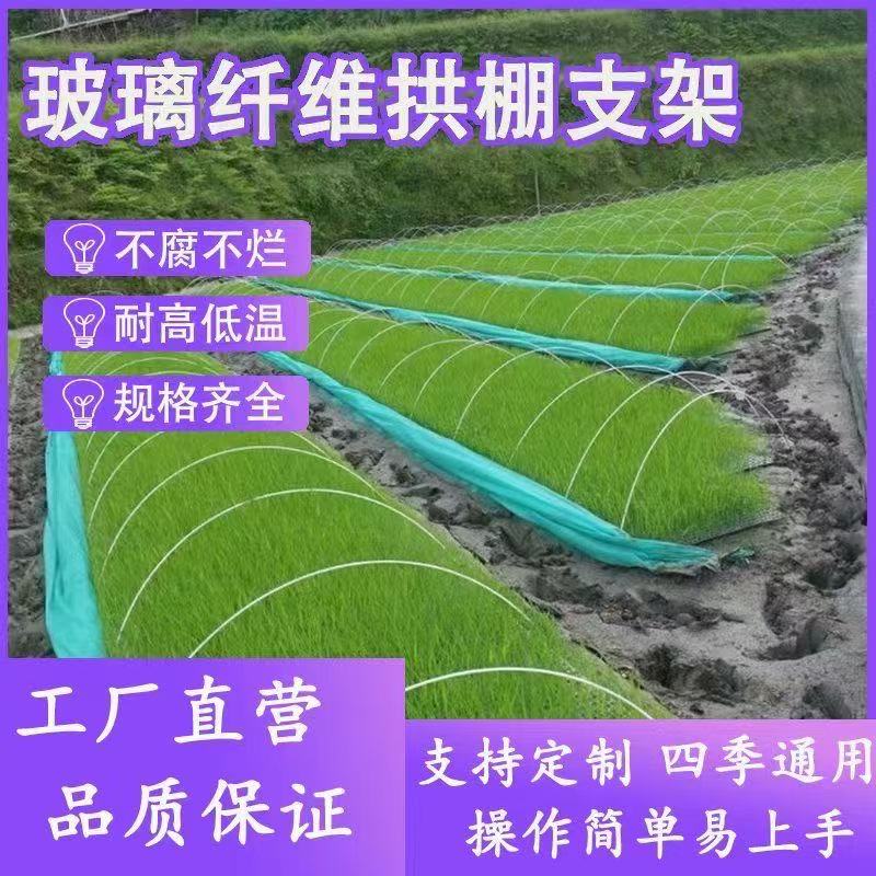 玻璃纤维杆新型小拱棚支架农膜家用园艺搭架