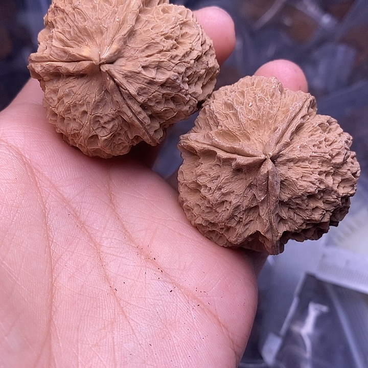 文玩核桃吊坠   188