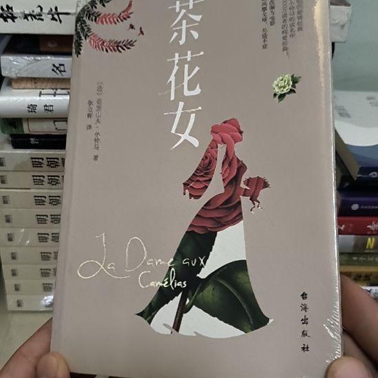 茶花女，全新塑封心心