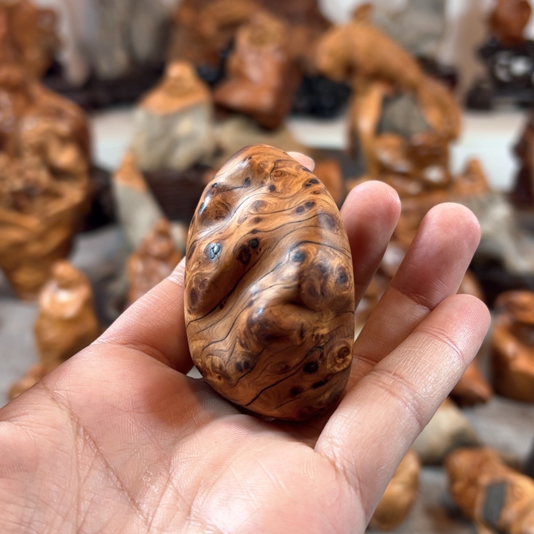 柏木（崖柏）8096358996