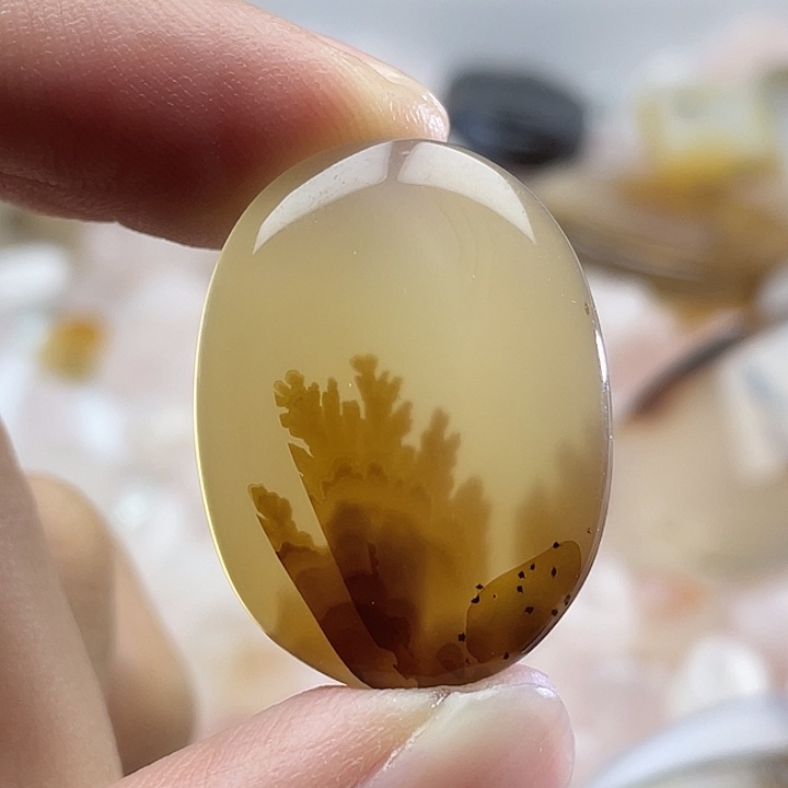 Z***.玛瑙/玉髓未镶嵌颈饰