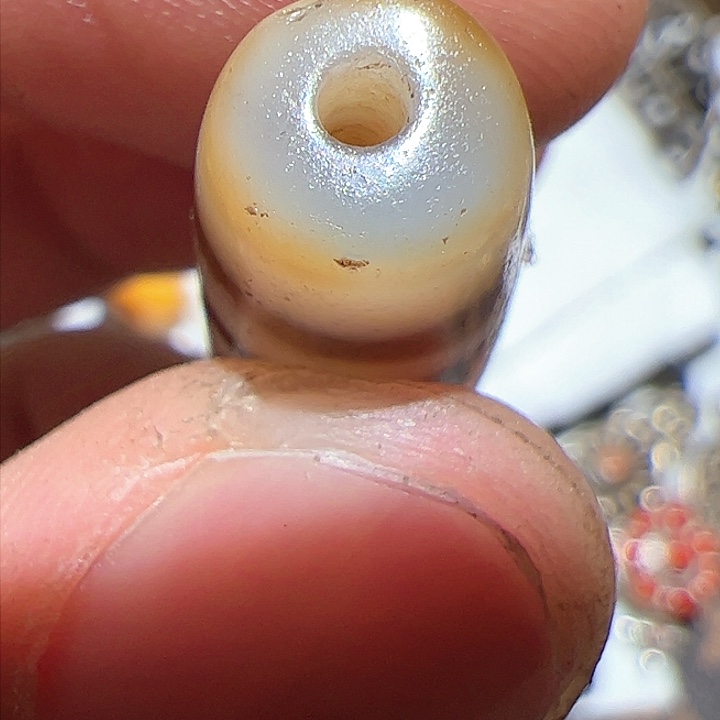 香榧木在家了一个人