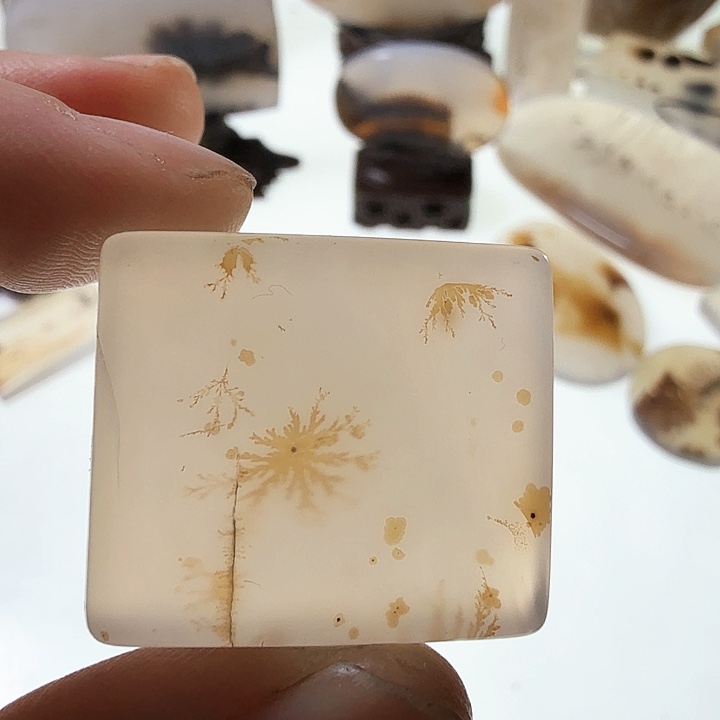 玛瑙/玉髓钛钢珠宝半成品