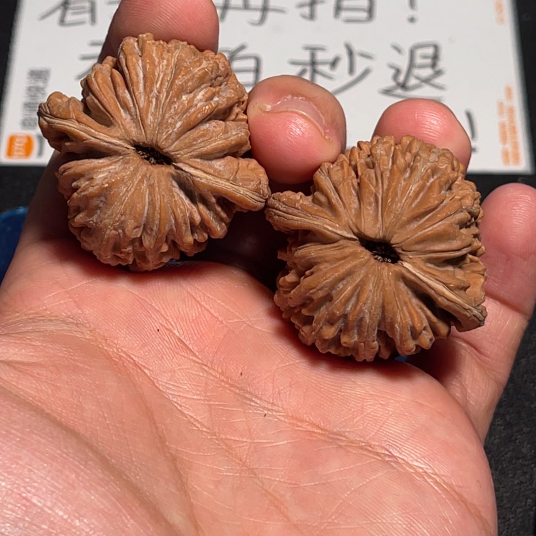 40全品平谷红皮菊花楼