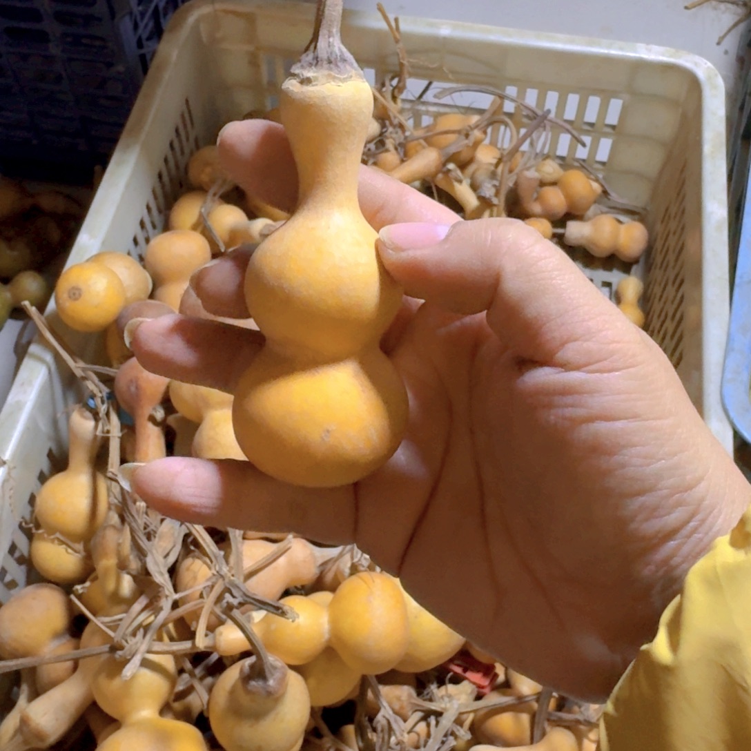 杰***大手摆件小葫芦瑕疵品不退不换