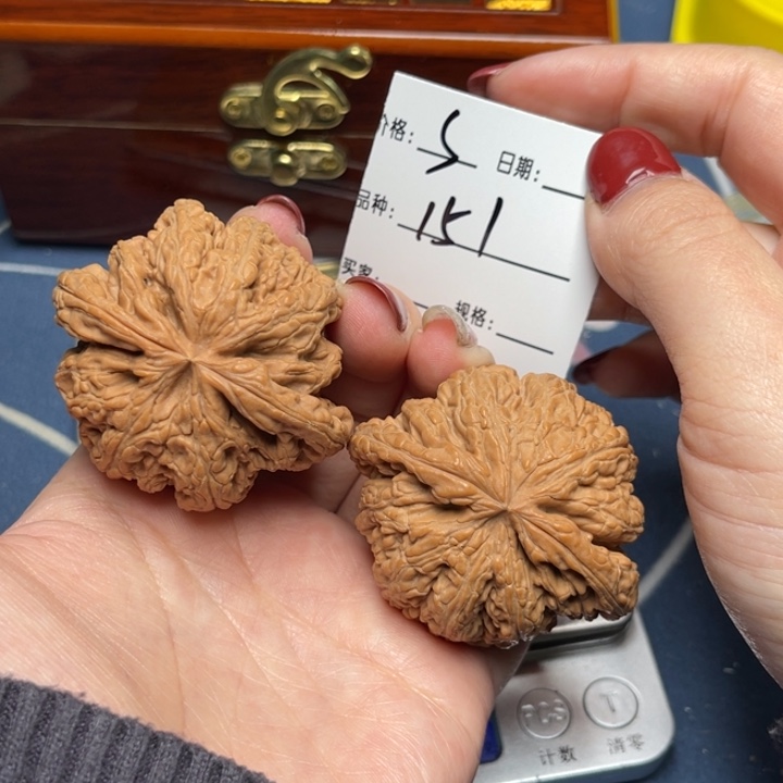 文玩核桃把件粗筋49