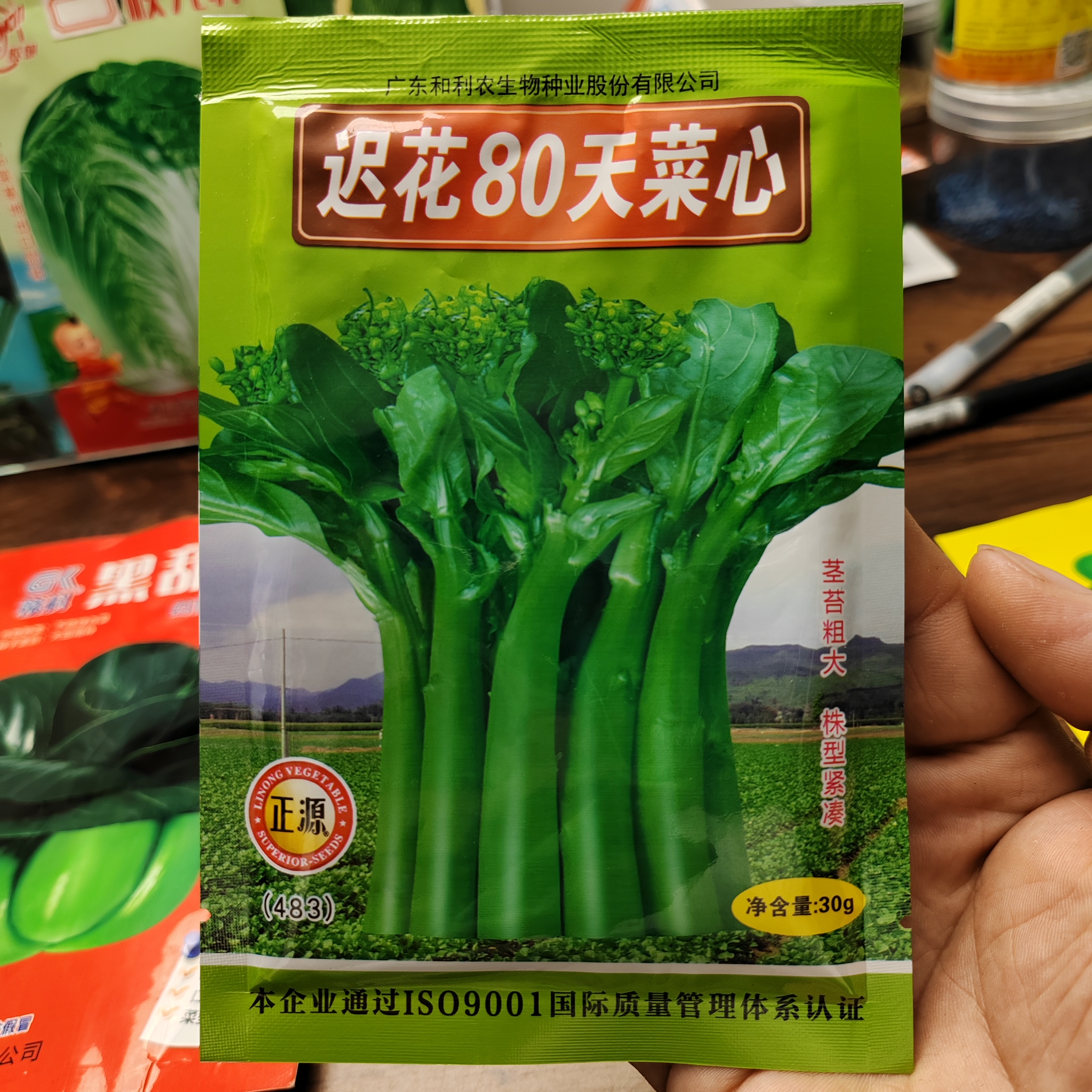 绿菜苔正源迟花80天菜心种子甜脆美味广东农家菜芯清炒蔬菜