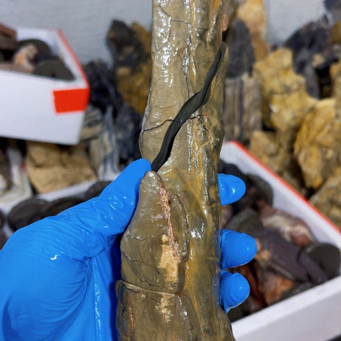 心***劫附石盆景一物一拍