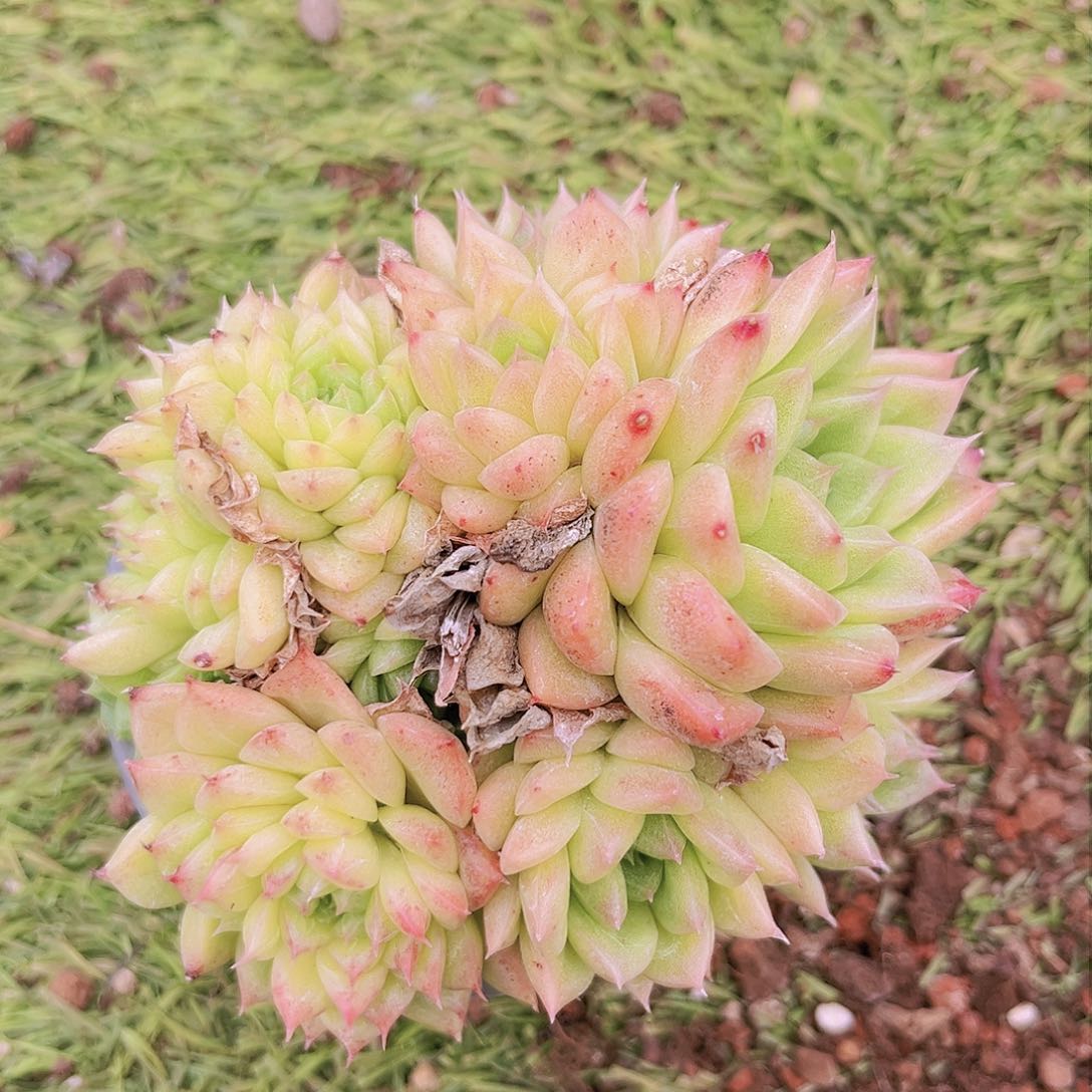 21号8块8包物业8年的物业租金多少是一