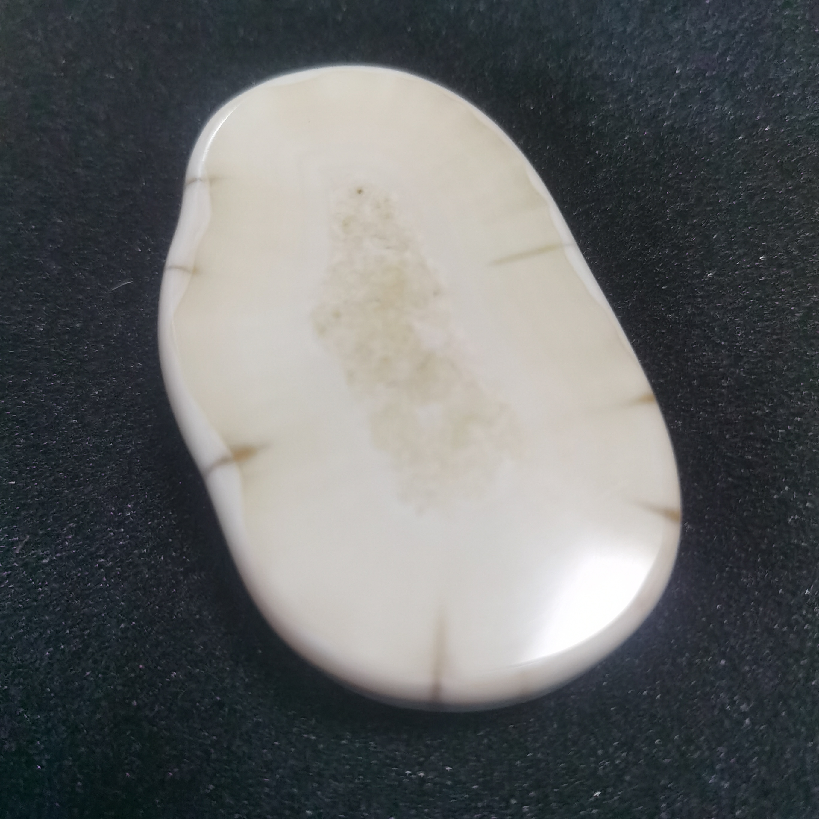 猛犸猛犸虬饼子tt801