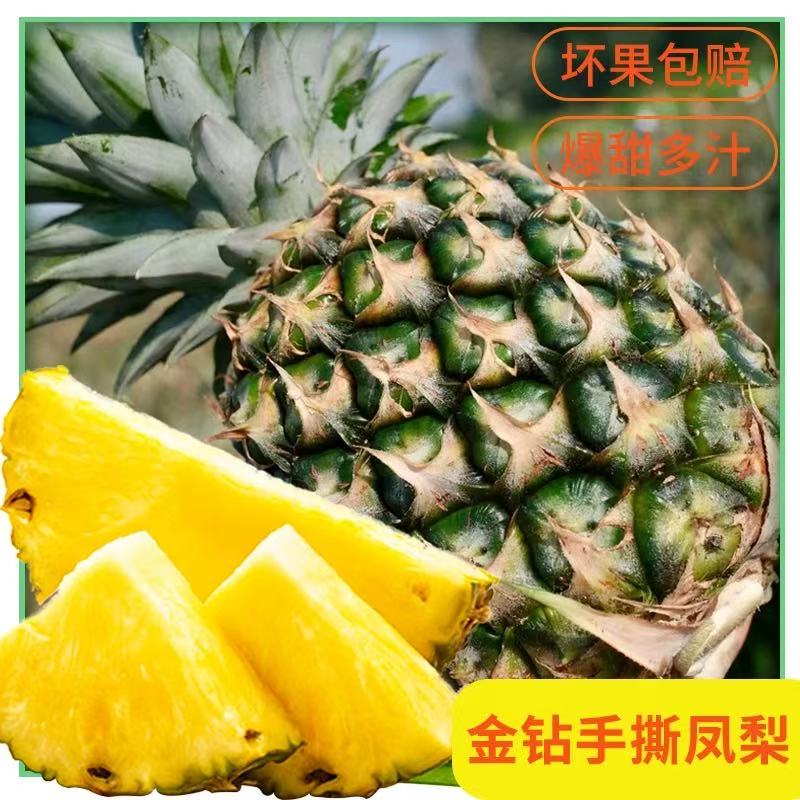 云南高山香水菠萝黑钻凤梨新鲜当季新鲜叶菠萝酸甜多汁