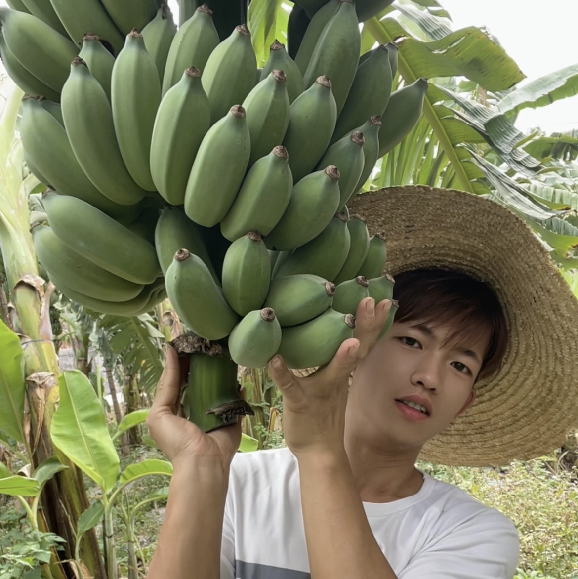 现摘广西龙牙香蕉小米蕉当季新鲜水果芭蕉苹果粉蕉自然熟香蕉整箱