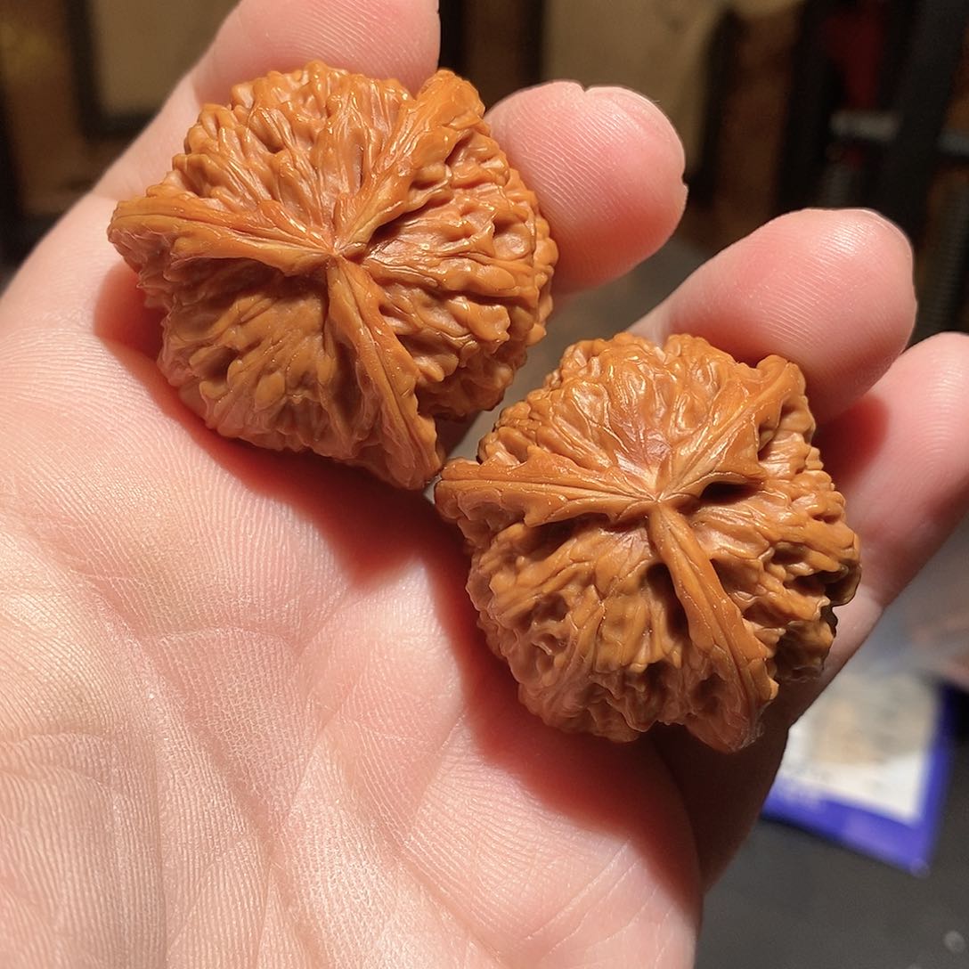 文玩核桃把件39白奔