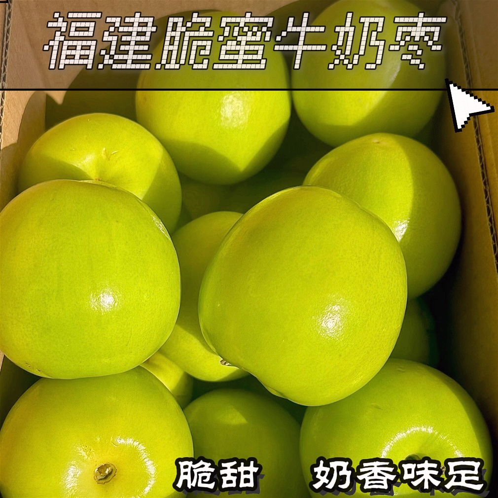 【福建漳州】牛奶脆密枣产地直发当季新鲜水果贵妃牛奶鲜枣孕妇水果