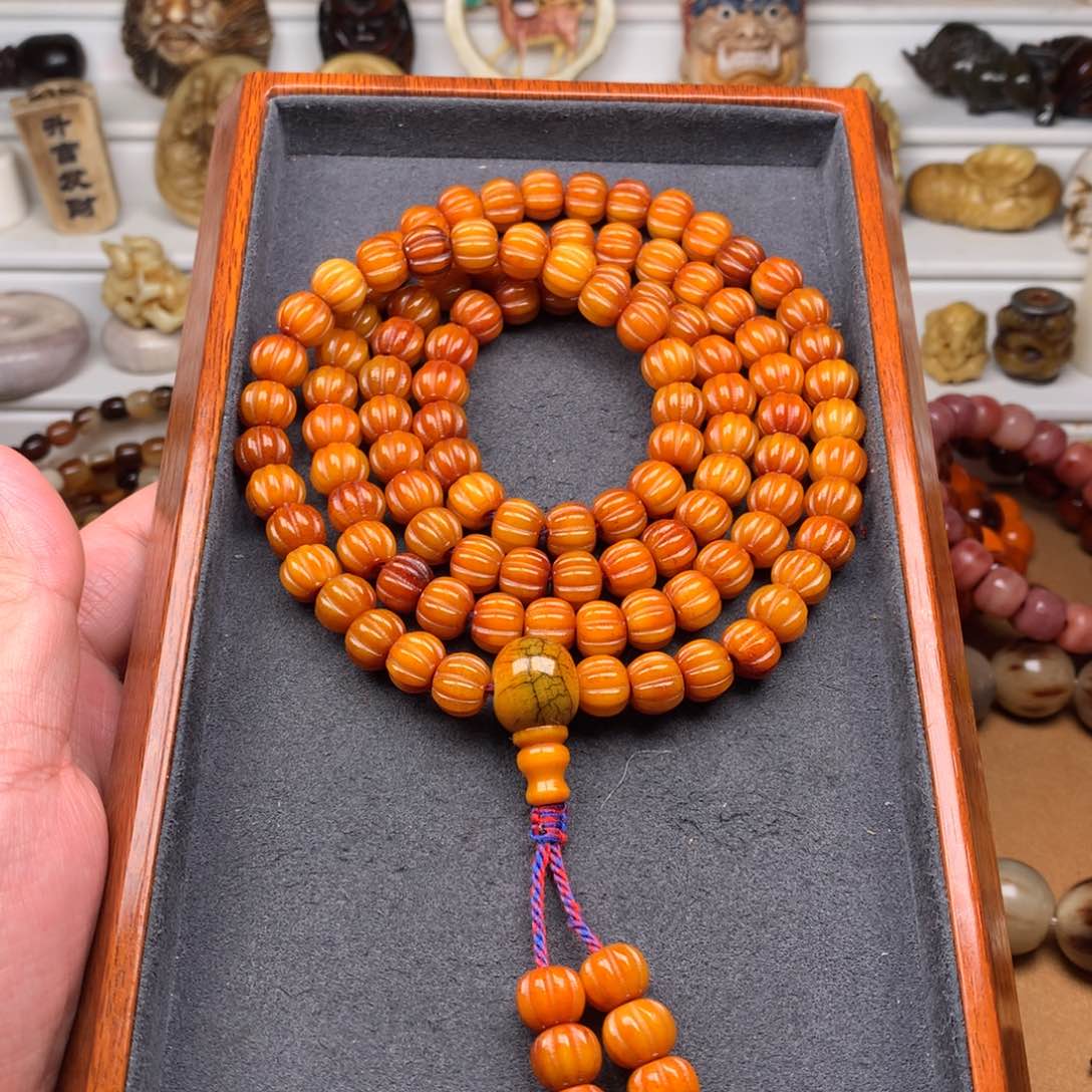 驼骨其他天天都在盘  10