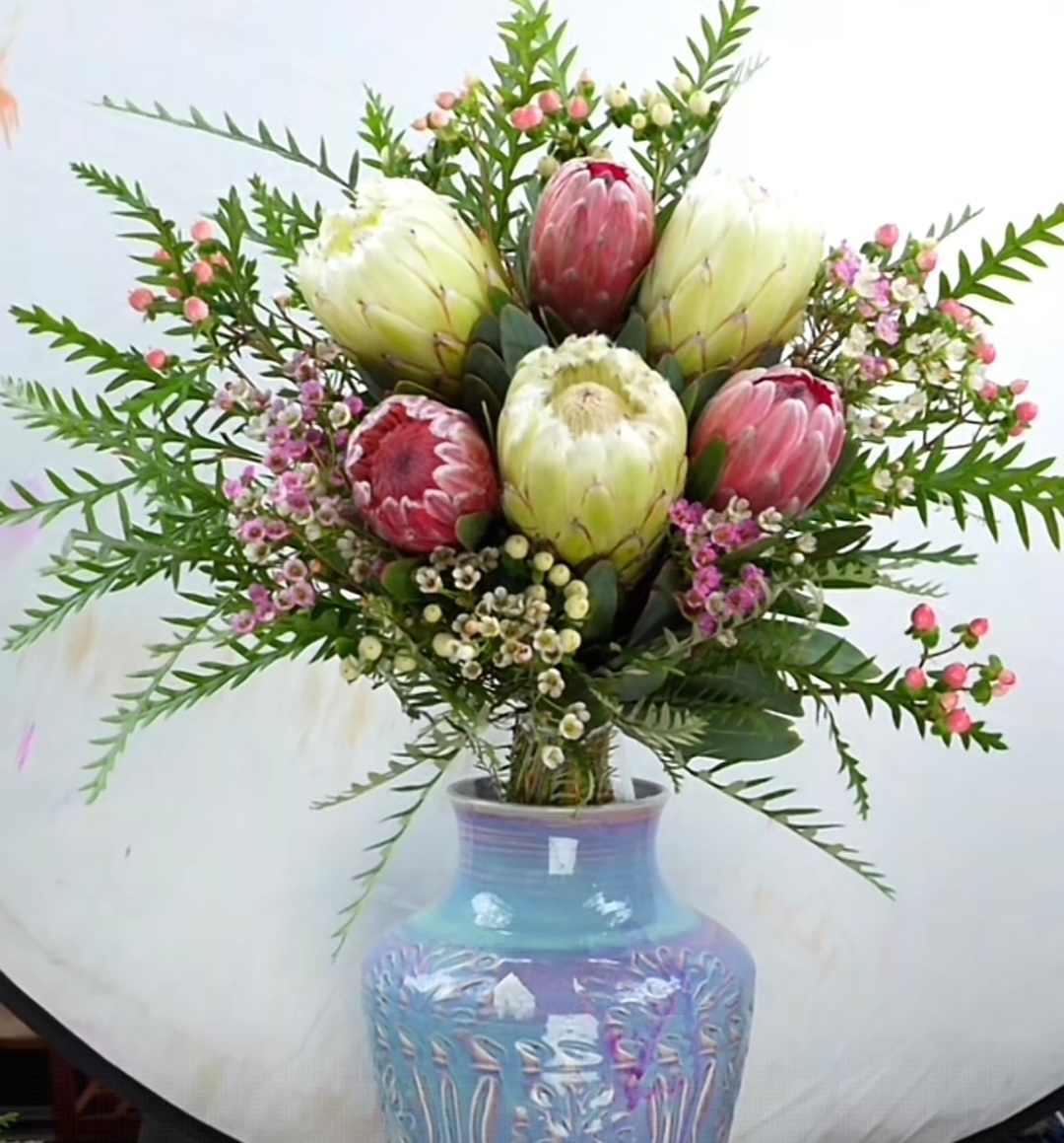 豪华套餐【3原色皇后+3颜色公主+白腊梅+粉腊梅+白豆+粉豆+羊齿叶】