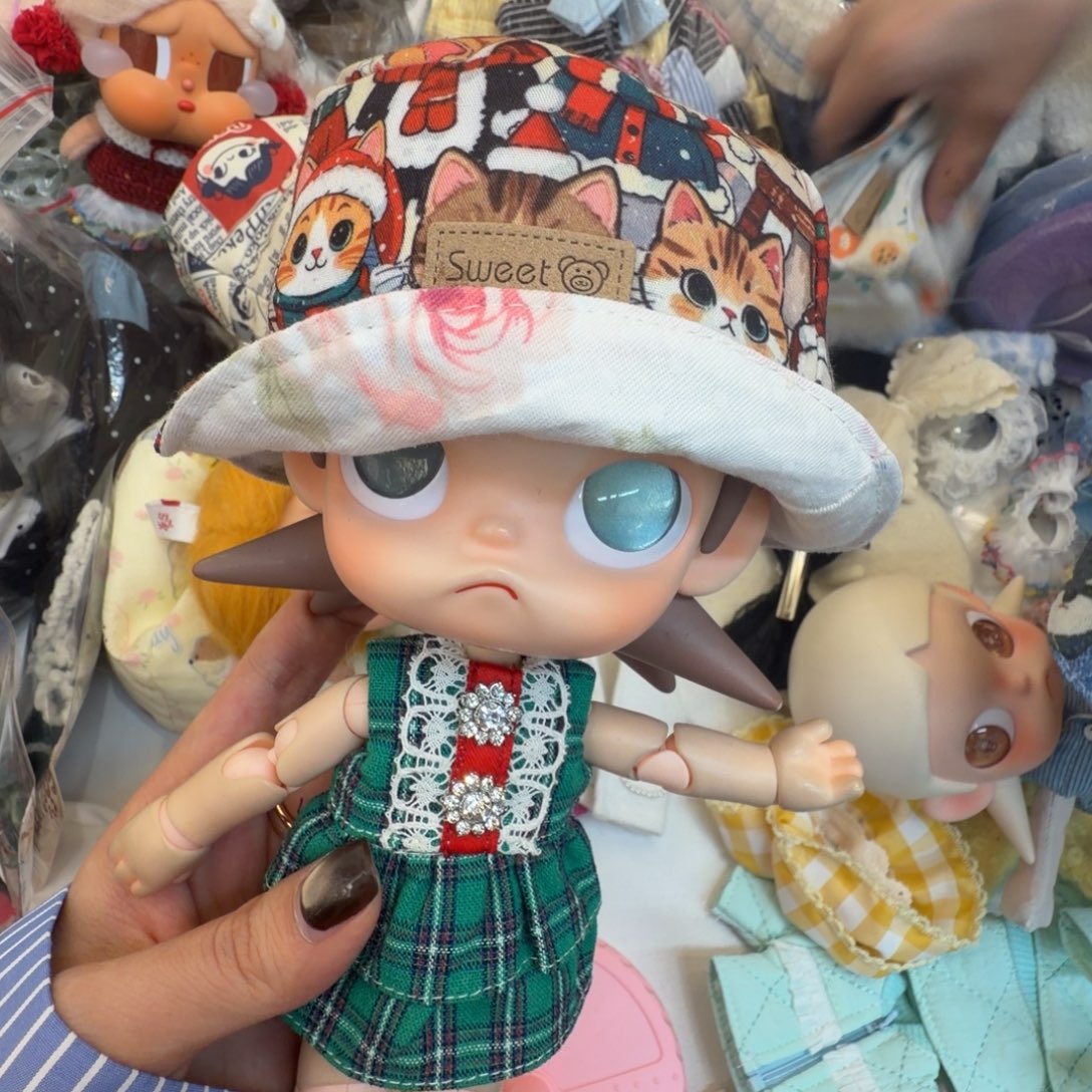 全是小猫正反带帽子