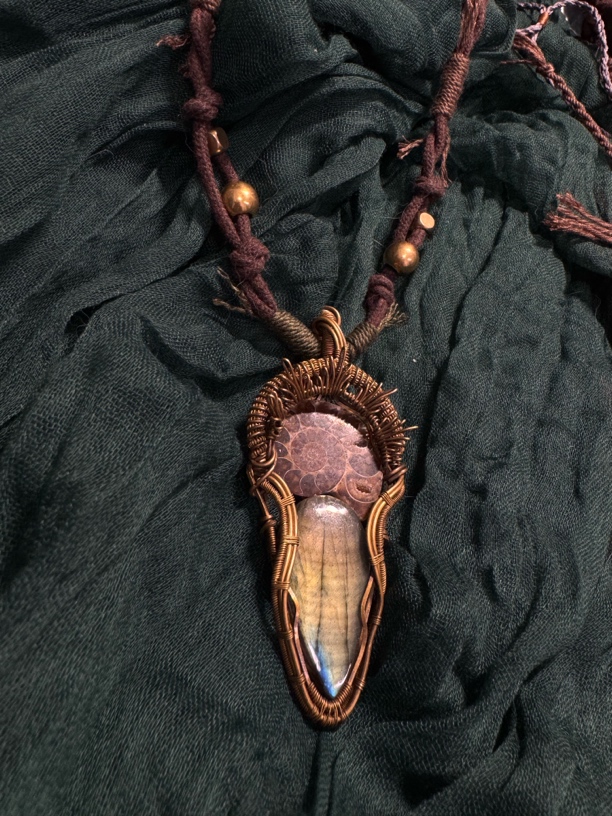 菊石螺复古菊石切片