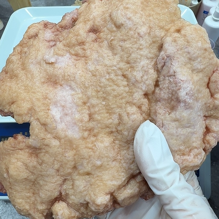 有机玻璃11111111111