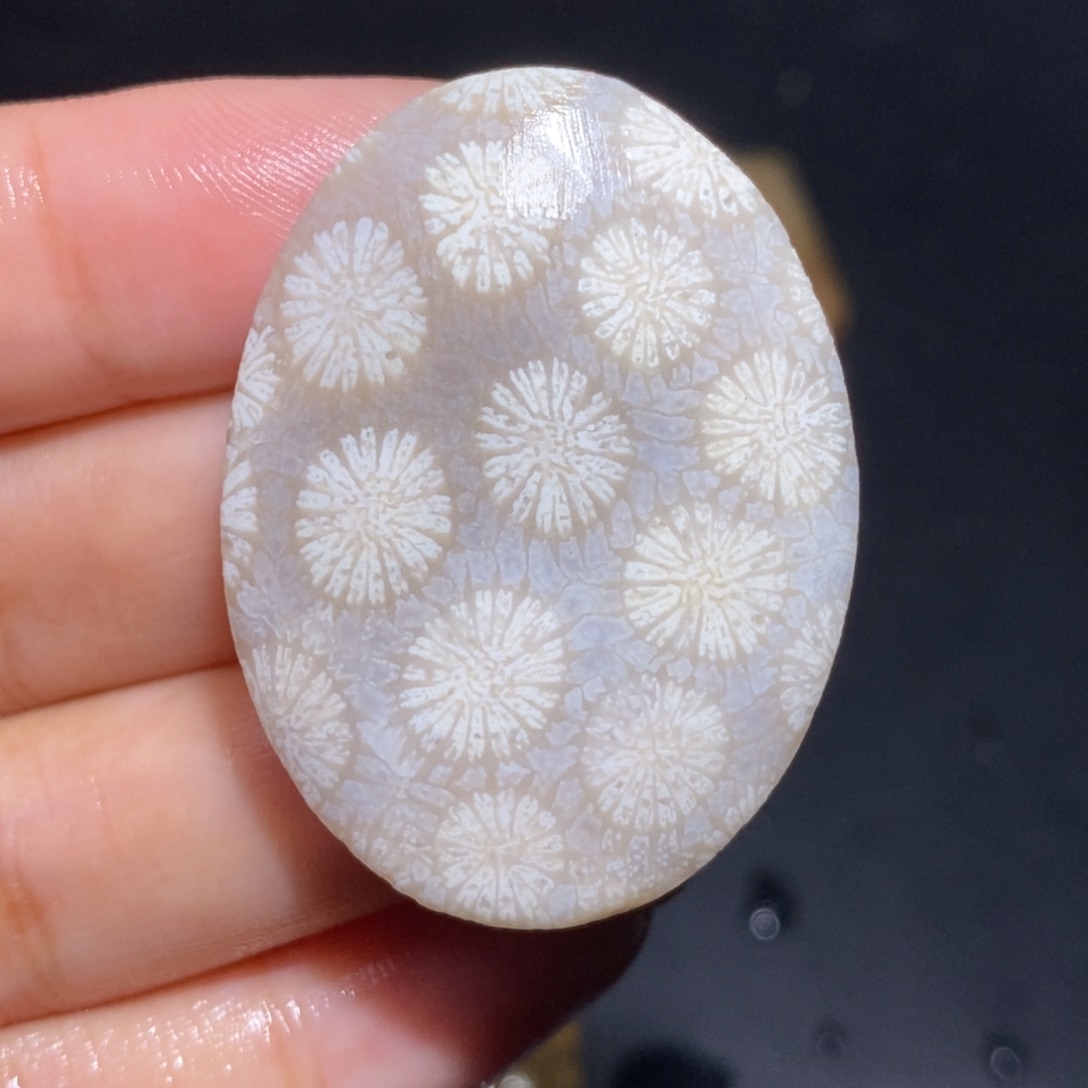 【闪购商品】硅化玉珊瑚玉未镶嵌