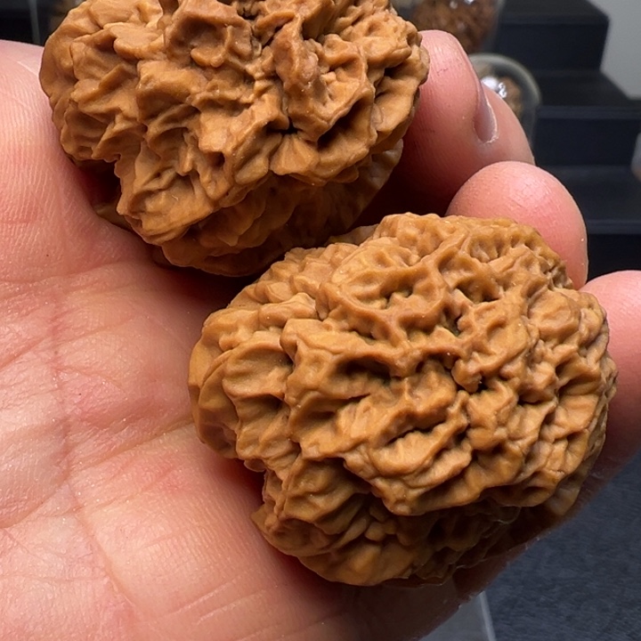 文玩核桃把件舍利子36mm