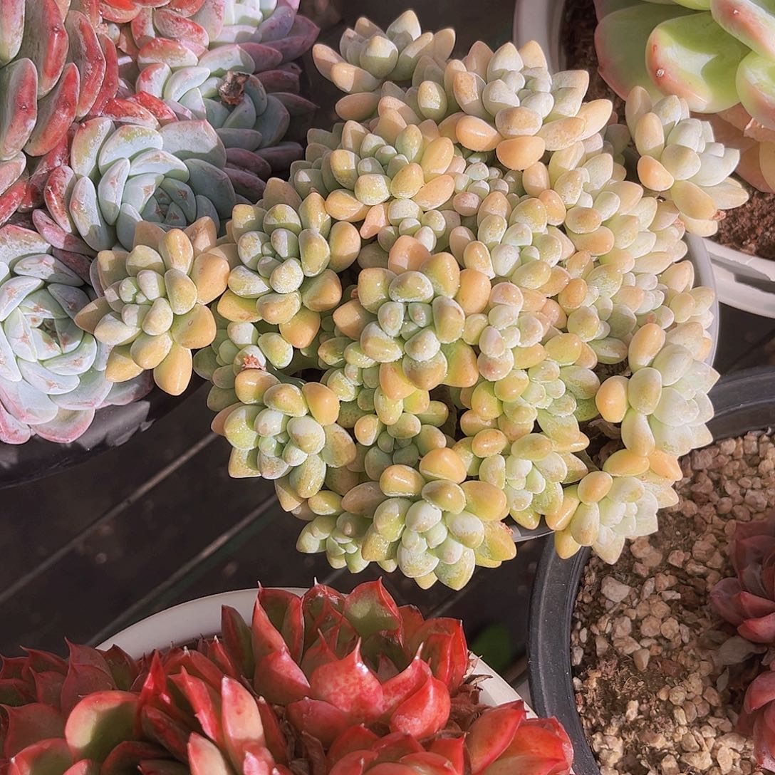 ❥***⁴520噢噢噢噢噢噢噢噢