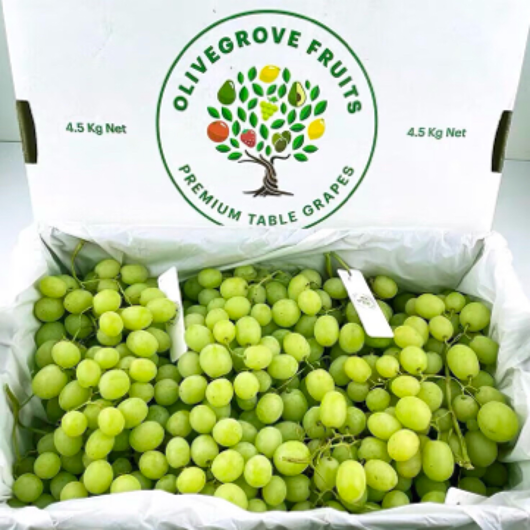 现货小树苗澳洲甜地球秋天酥无籽青提葡萄新鲜水果提子2斤顺丰