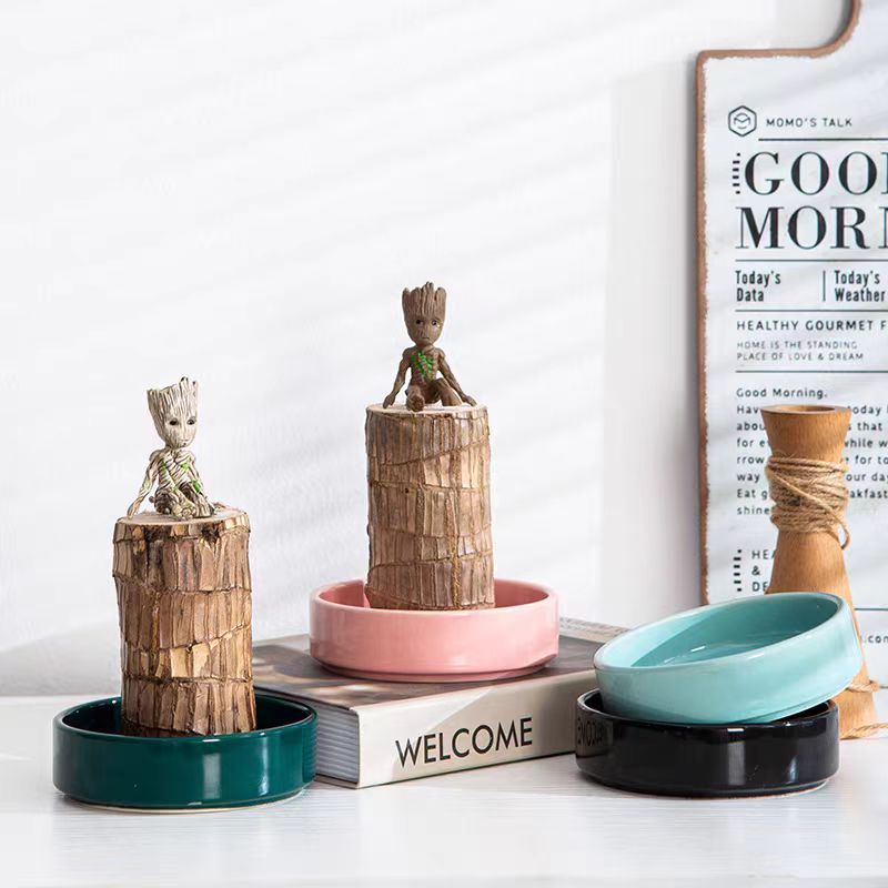 【第六名】巴西木带芽发货开花幸运木盆栽水培植物花卉巴坦木客厅