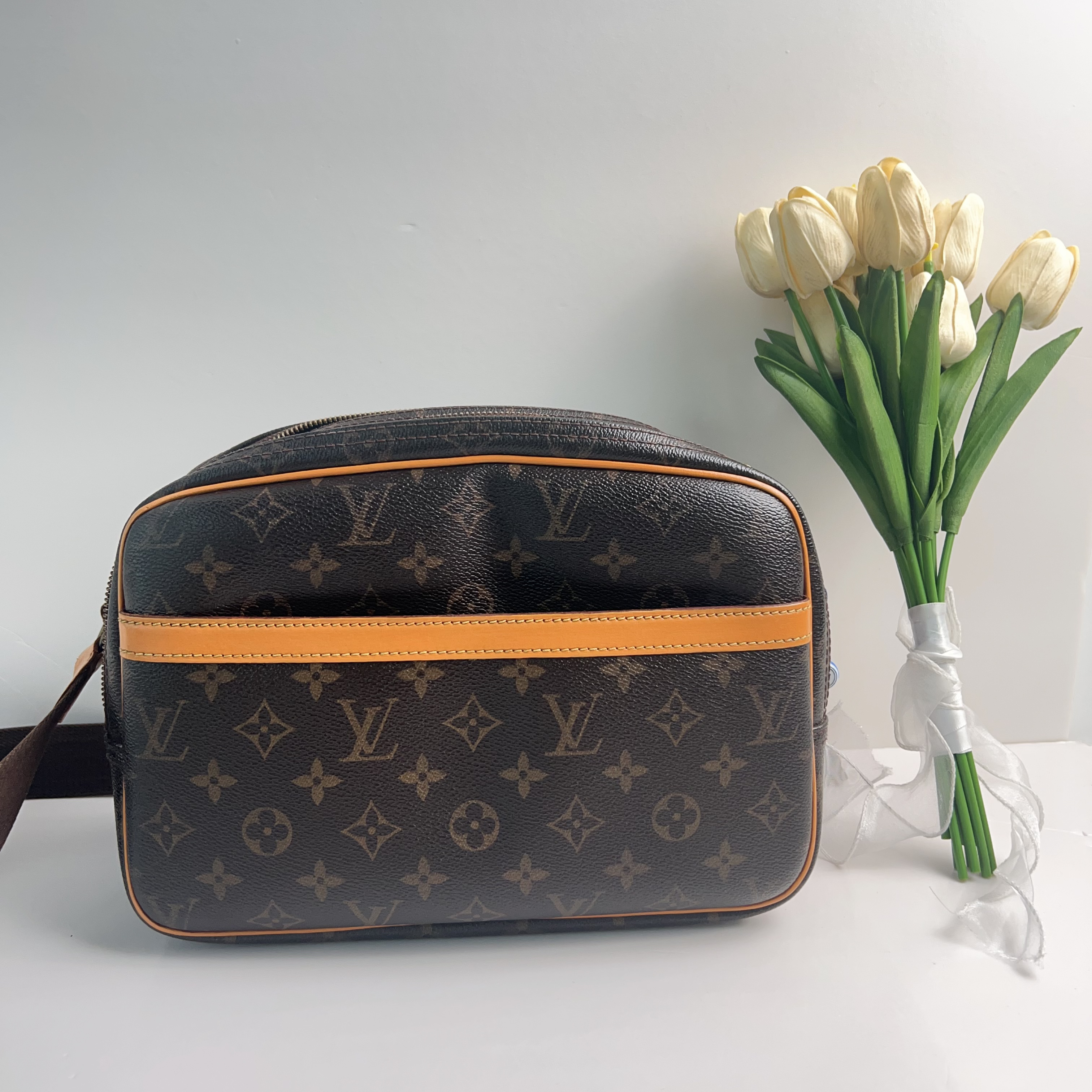 95新 LouisVuitton/路易威登 路易威登老花保龄球相机包C2144