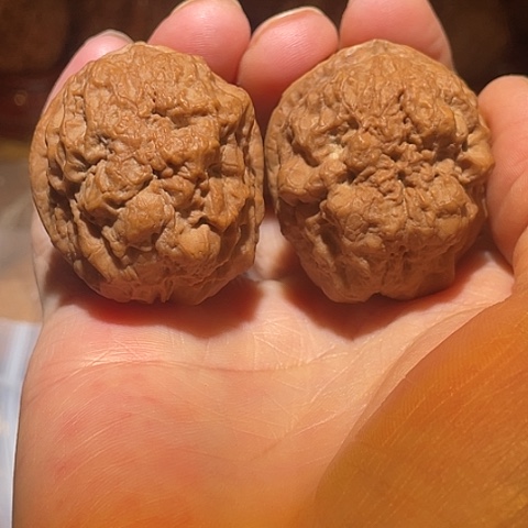 咋***了文玩核桃把件老疙瘩带彩40