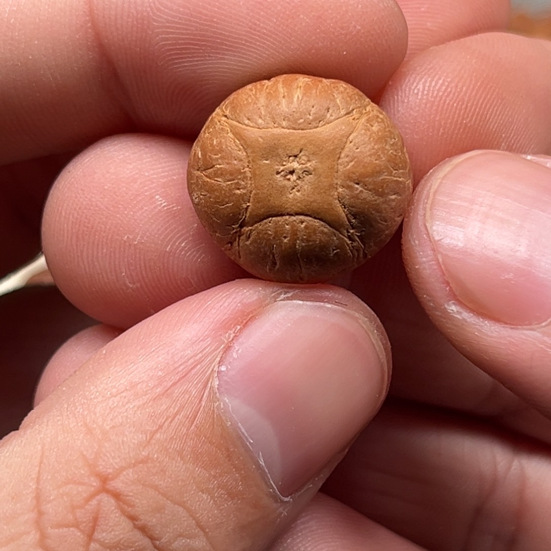 吊坠凤眼菩提19mm全品麒麟福利