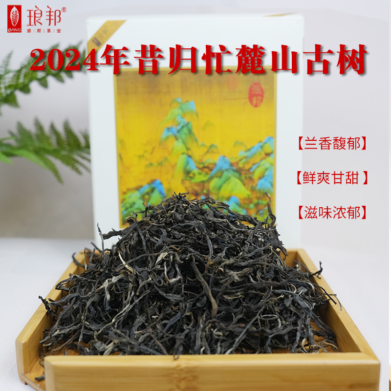 琅邦2024年昔归忙麓山古树春茶