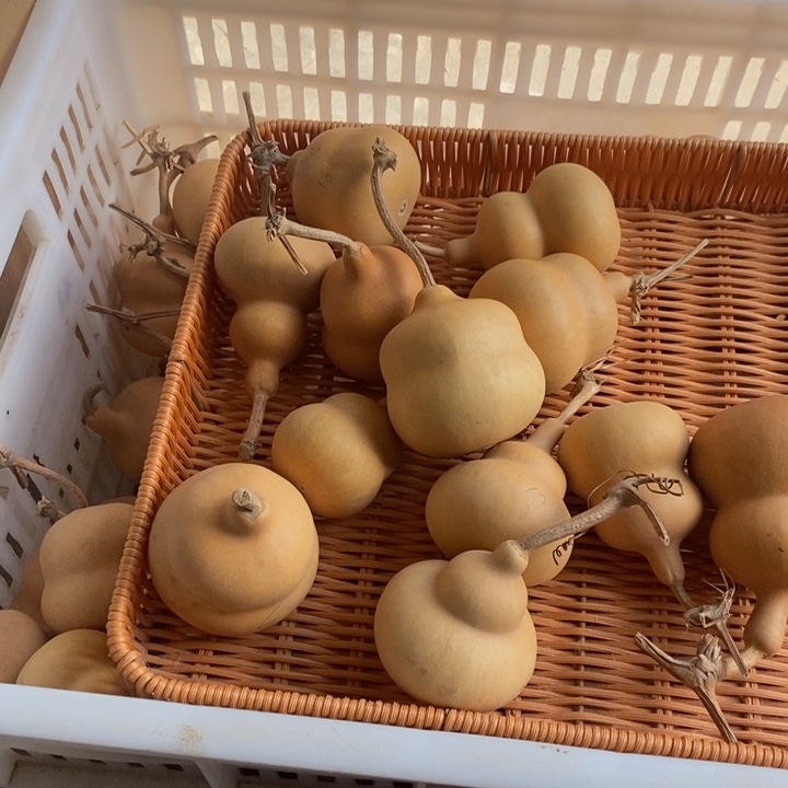 仁***水仁者乐山智者乐水