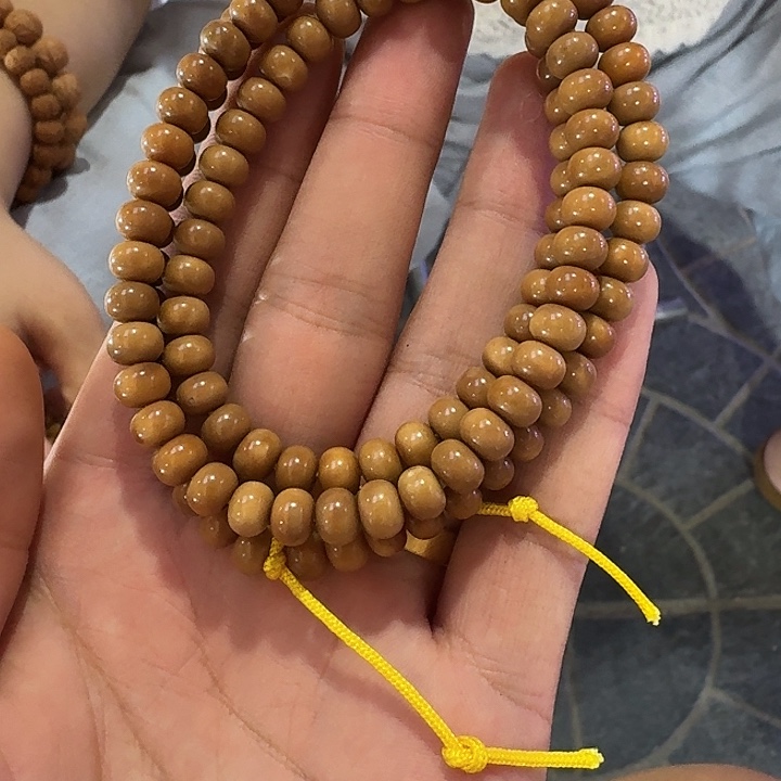 菩提根/象牙果吊坠龙脊算盘脖挂8/6