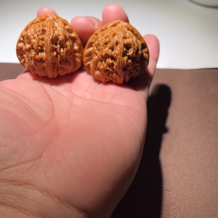 清***傅精品白狮子41尺寸