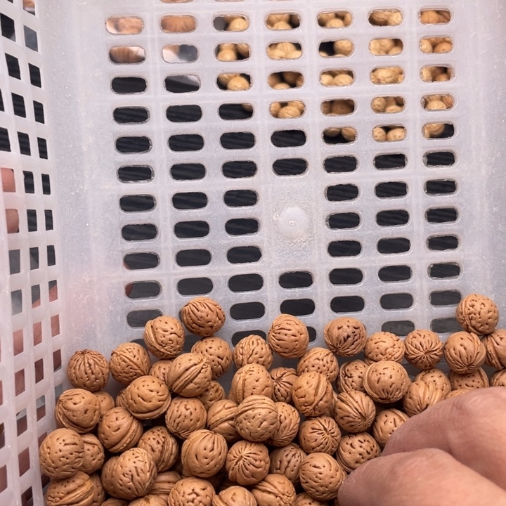 手串/手链核桃散发40元优惠活动