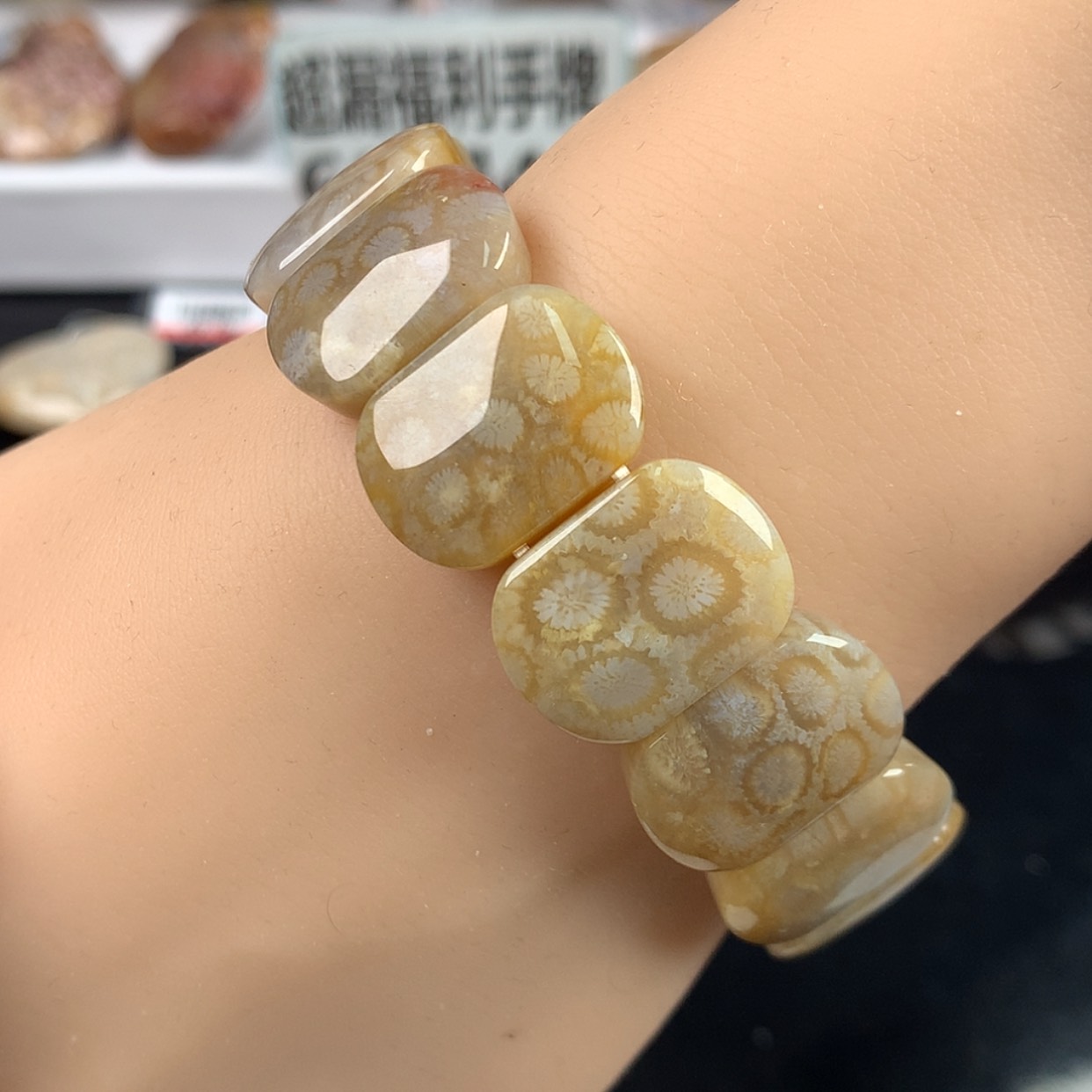 【闪购商品】硅化珊瑚（珊瑚玉）手镯未镶嵌开播福利！（4号）