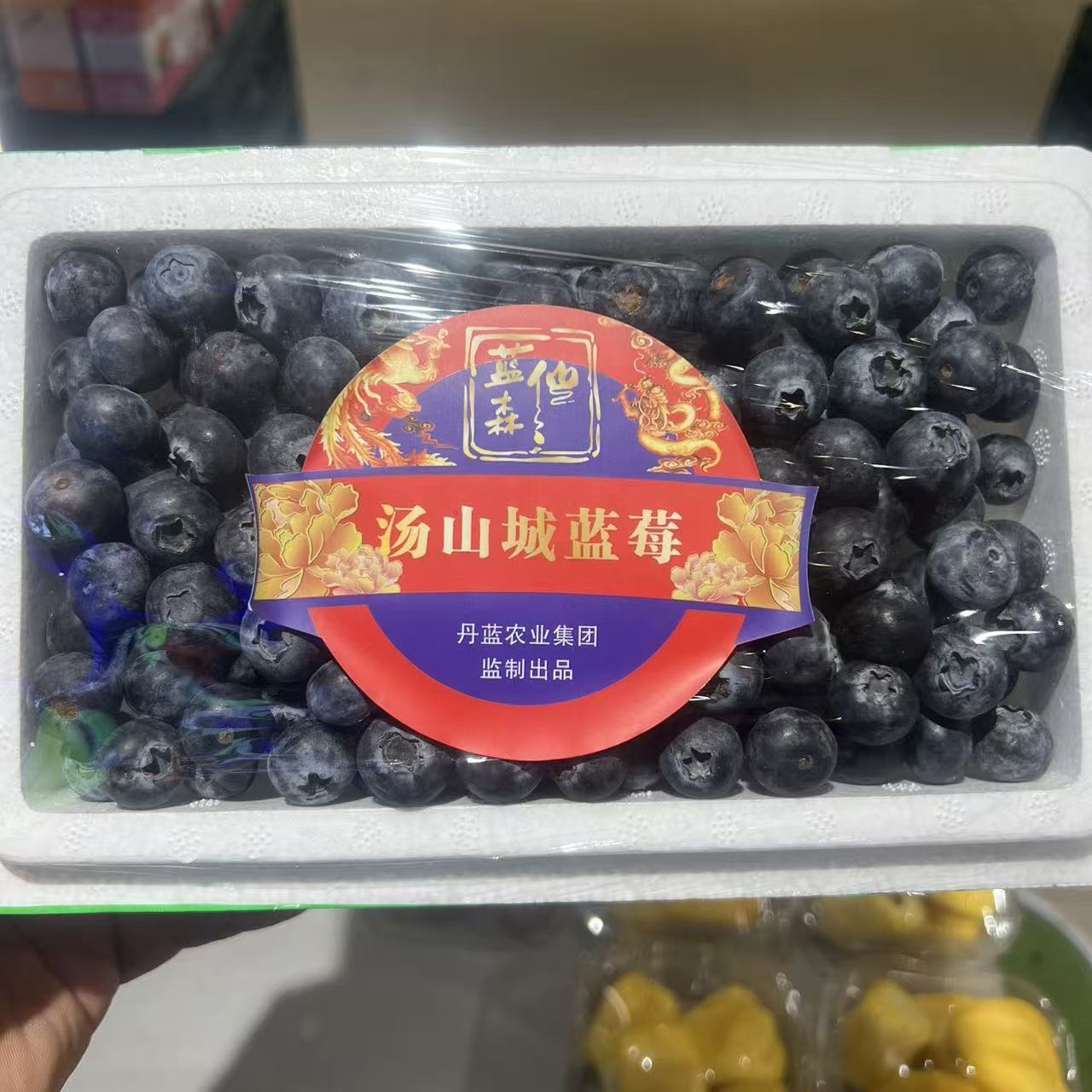 【天天鲜丨送货上门】16+云南蓝莓一盒酸甜口云南省