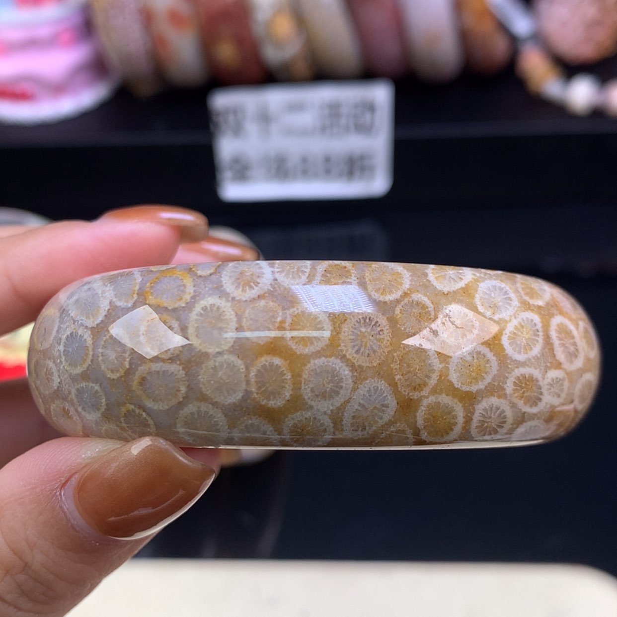 【闪购商品】颈饰未镶嵌硅化珊瑚（珊瑚玉）福利手镯57（19号）