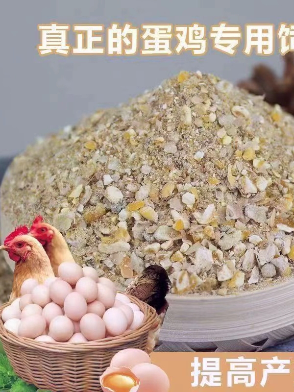 高产蛋王青年鸡土鸡海澜灰专用饲料