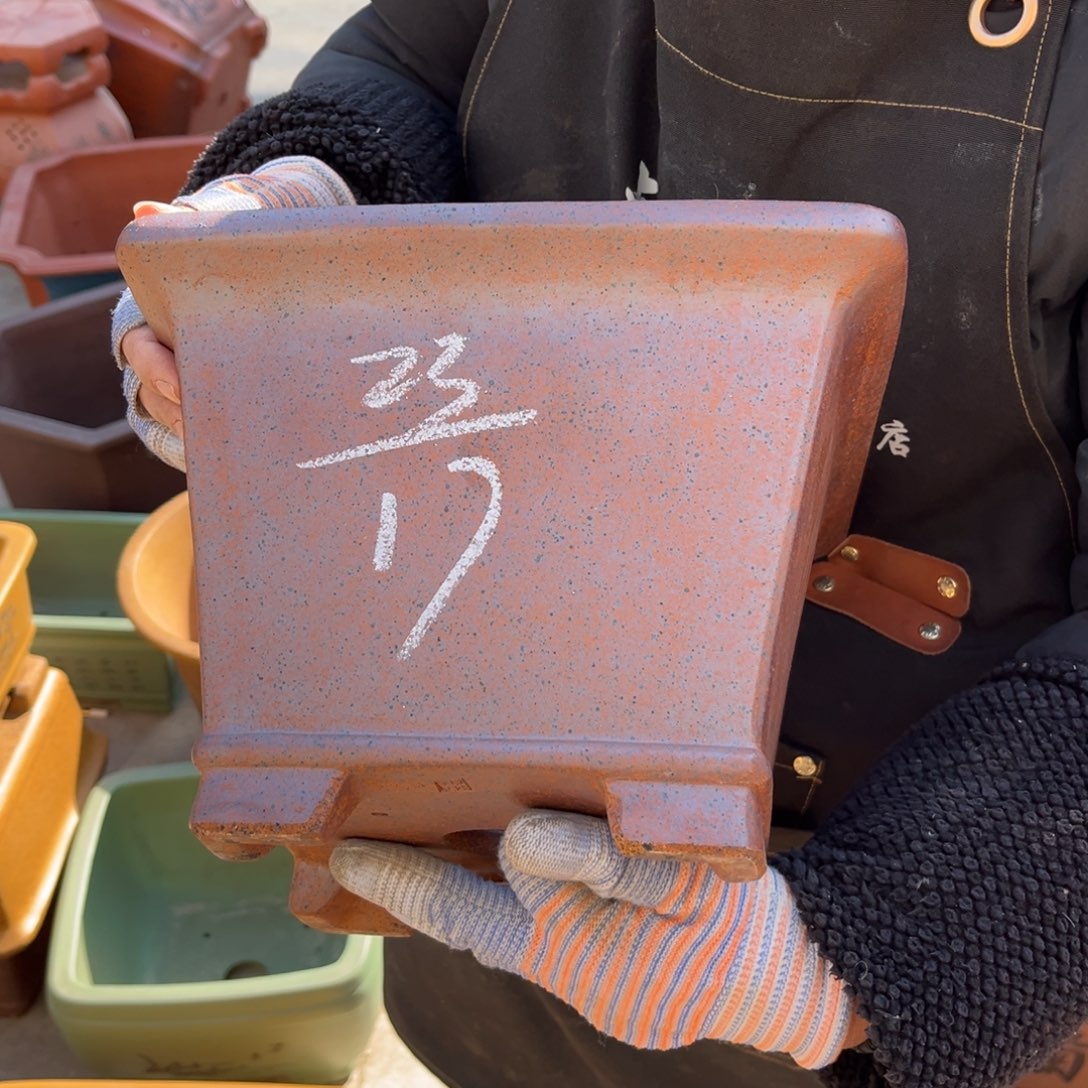 紫砂花盆盆景艺术