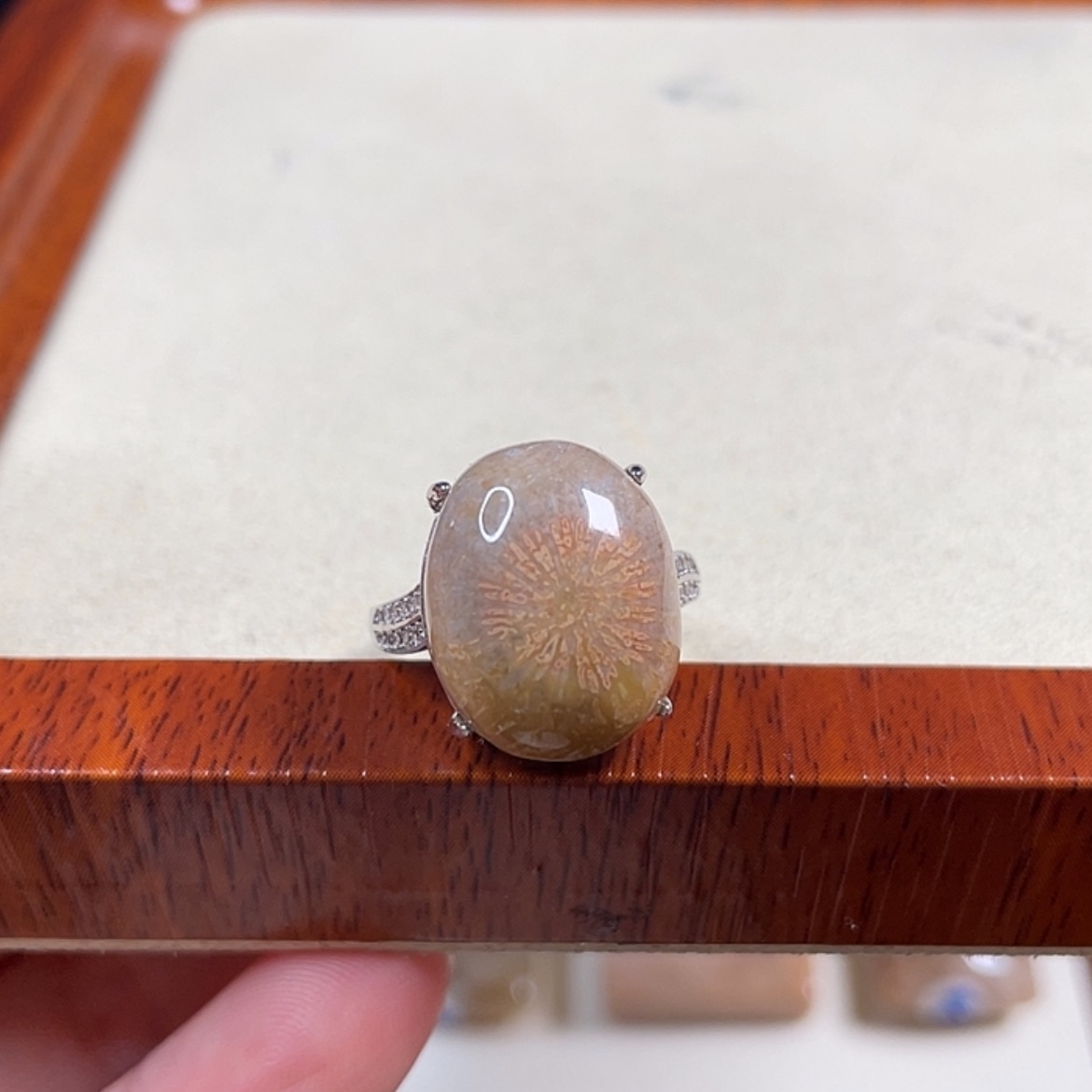 【闪购商品】硅化玉吊坠(赠链)未镶嵌