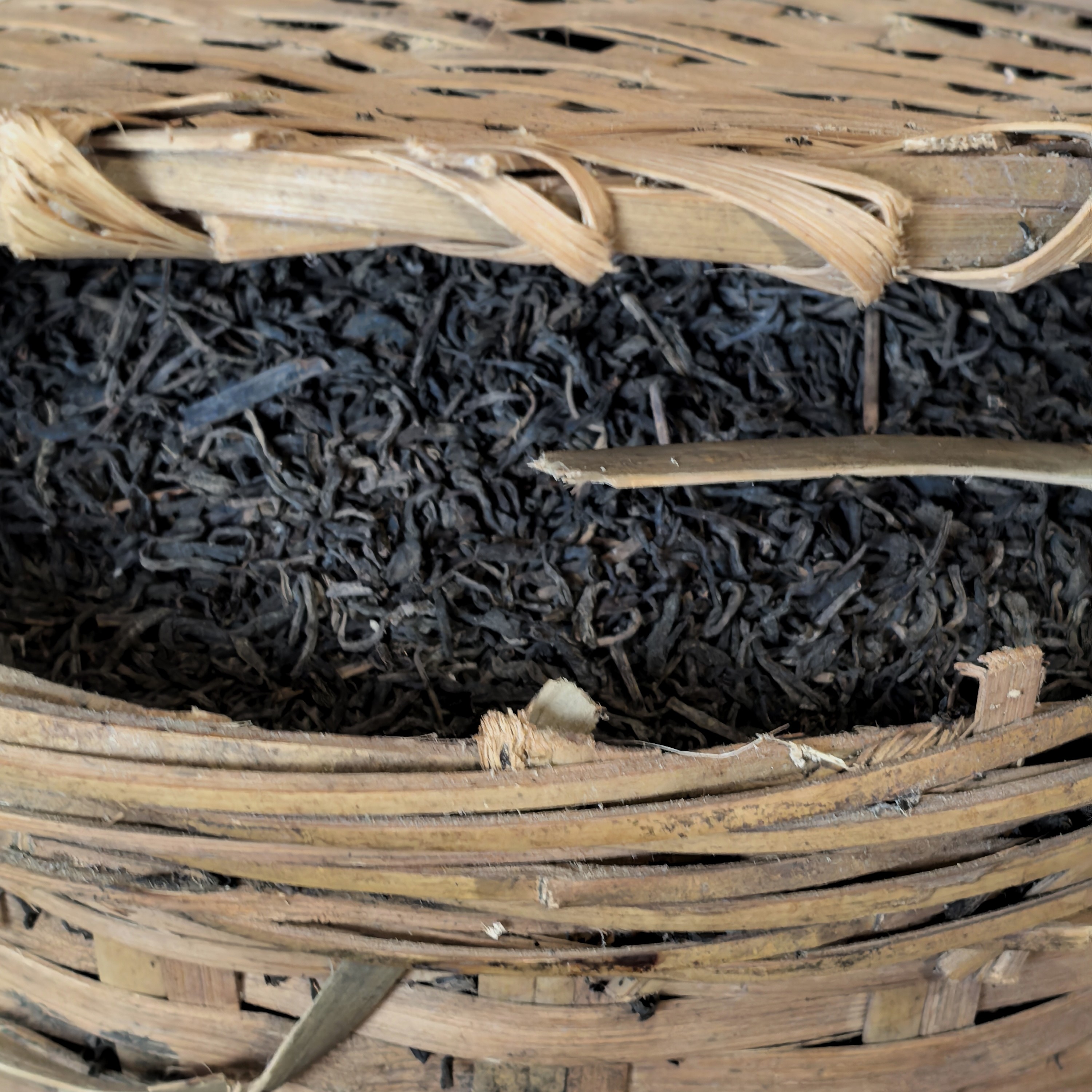 广西梧州干净老六堡茶