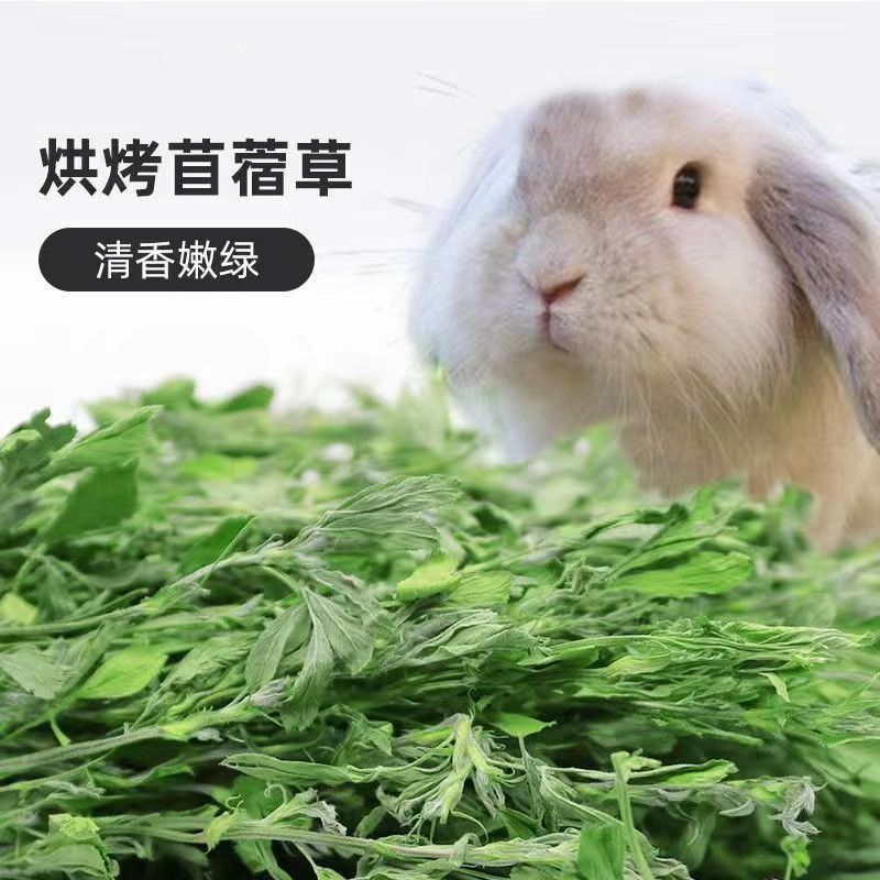 烘干苜蓿草宠物兔龙猫猪牧草饲料含粗纤维营养丰富