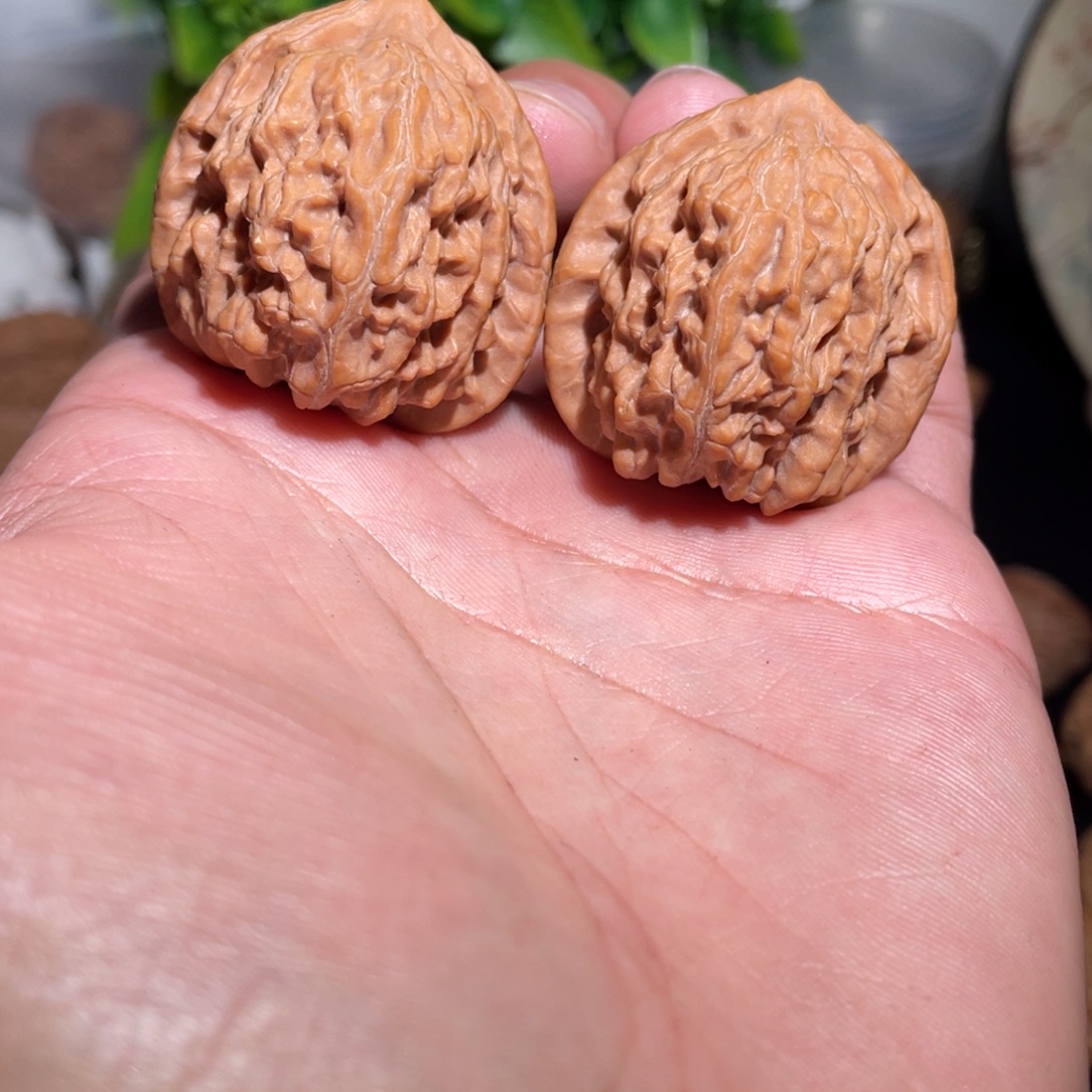 文玩核桃把件36惊鸿狮子头