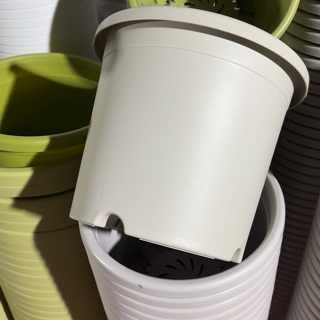 树脂四季5号无托6个灰白微瑕