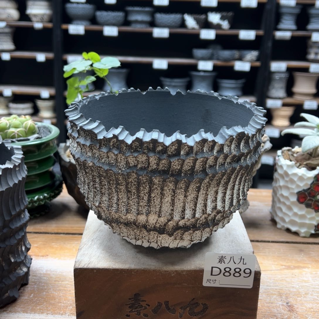 素八九陶瓷内口14.5高11.5