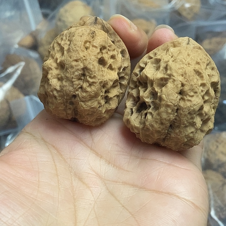 文玩核桃把件云南铁核桃基地3